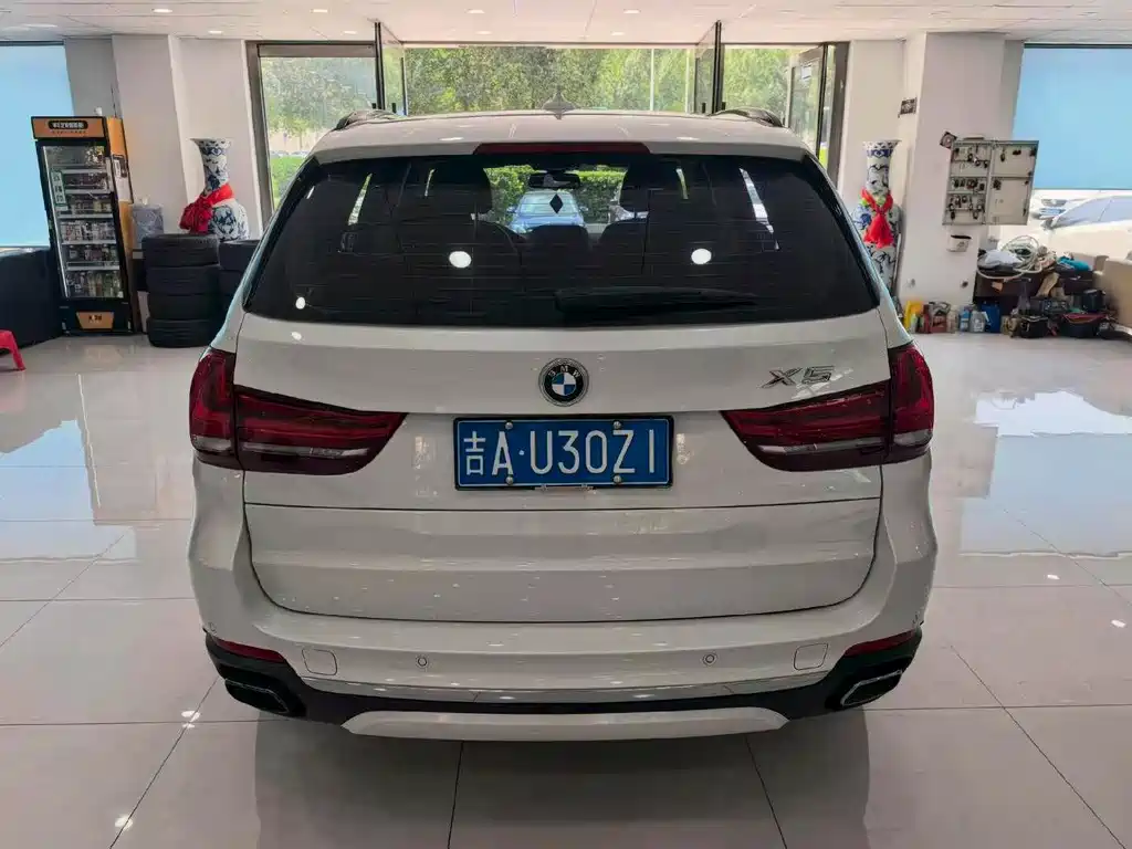 BMW X5 New Energy 2020 — фото 9