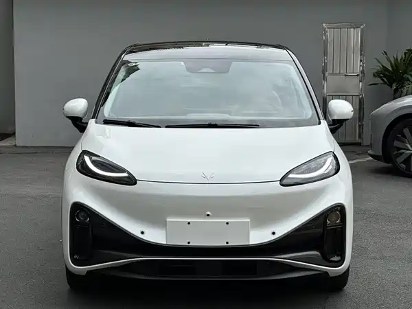 Arcfox Koala 2024
