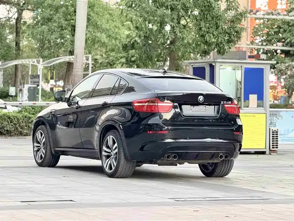 BMW X6 M 2010