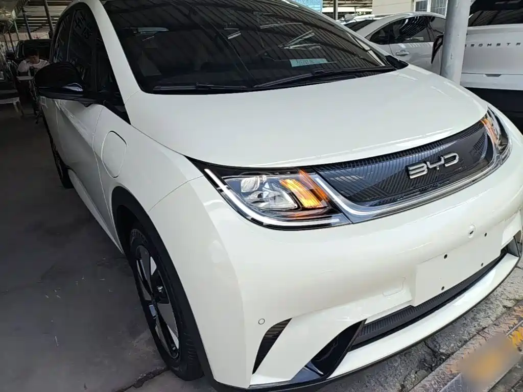 BYD Dolphin 2023 — фото 4