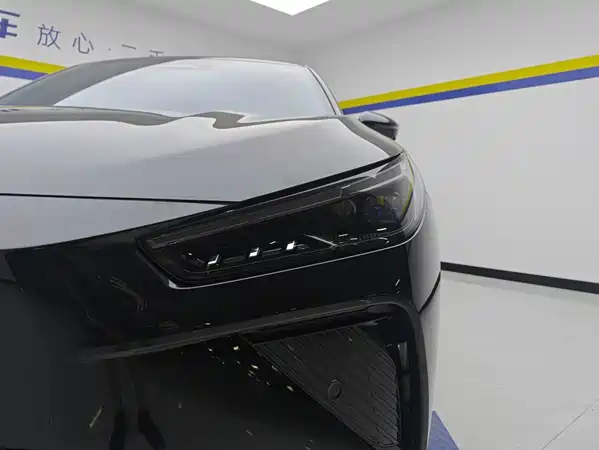 Neta L 2024