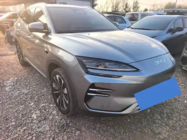 BYD Song PLUS New Energy 2025