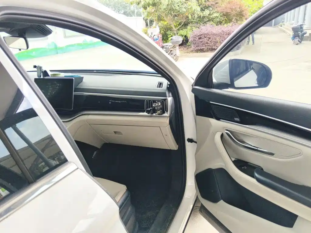 BYD PLUS New Energy 2022 — фото 20