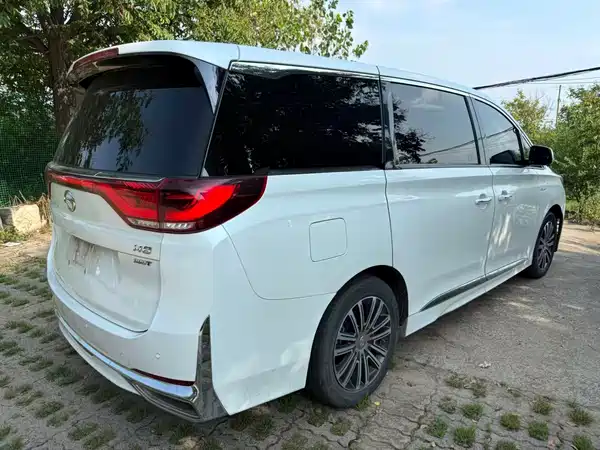 GAC Trumpchi M8 2021