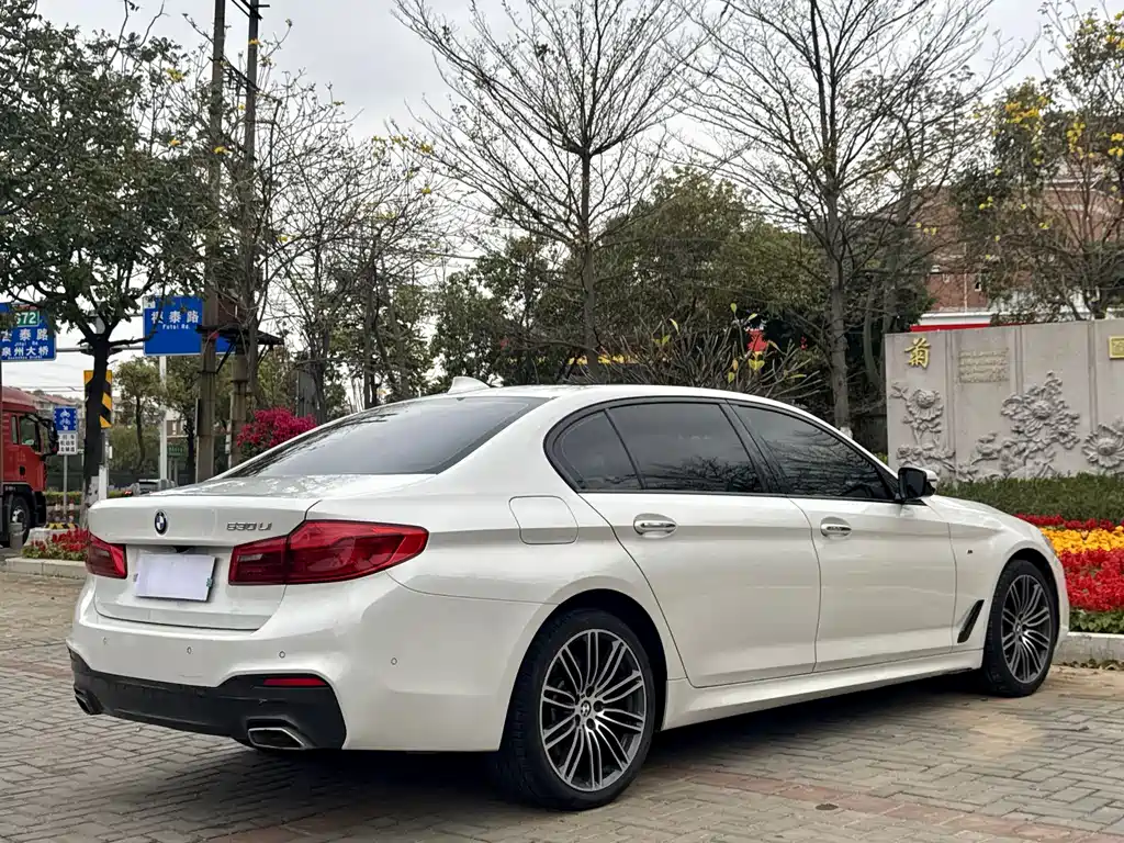 BMW 5 Series 2017 — фото 9