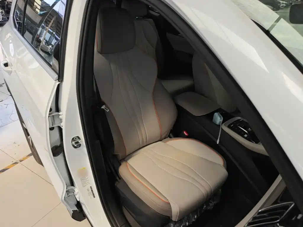 BYD Song Pro New Energy 2024 — фото 25