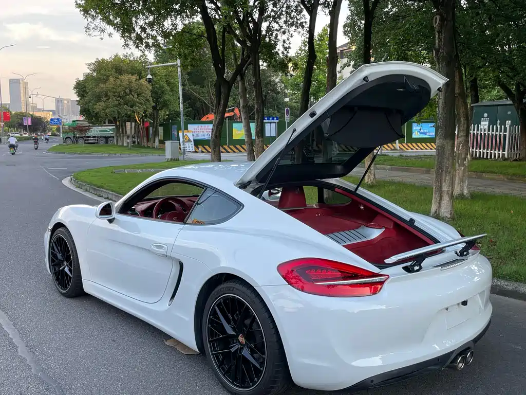 Porsche Cayman 2015 — фото 21