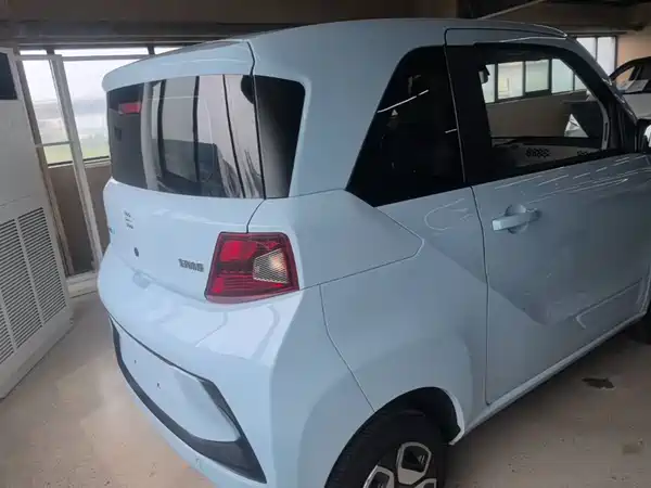 Dongfeng Scenery MINIEV 2022