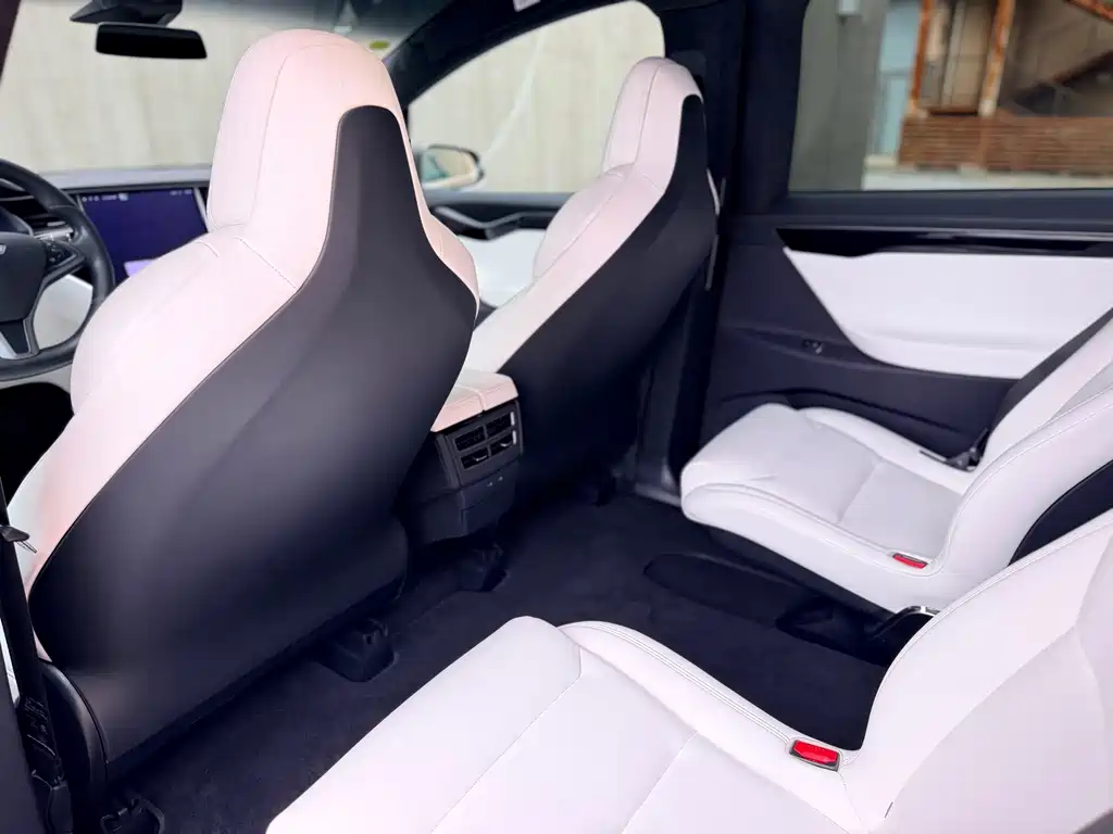 Tesla Model X 2019 — фото 22