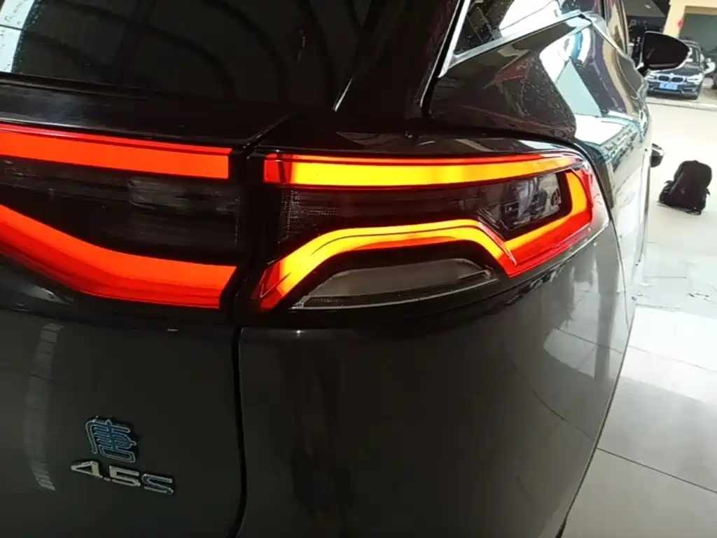 BYD Tang New Energy 2019 — фото 8