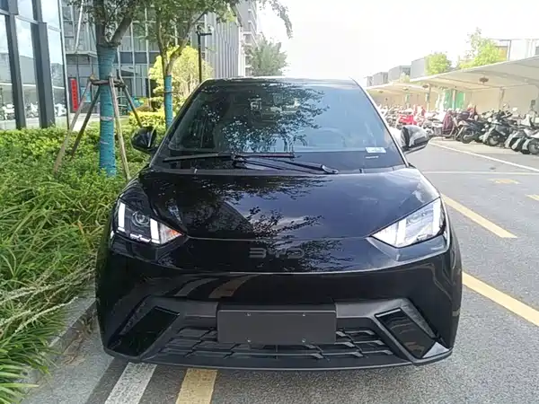 BYD Seagull 2024