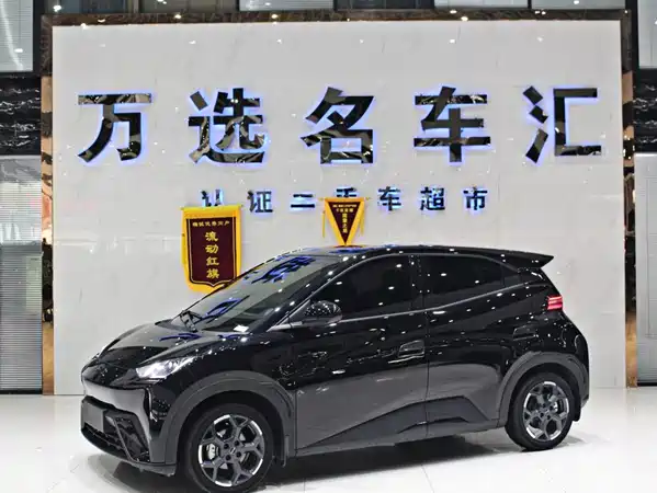 BYD Seagull 2024