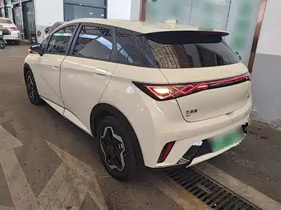 BYD Dolphin 2022