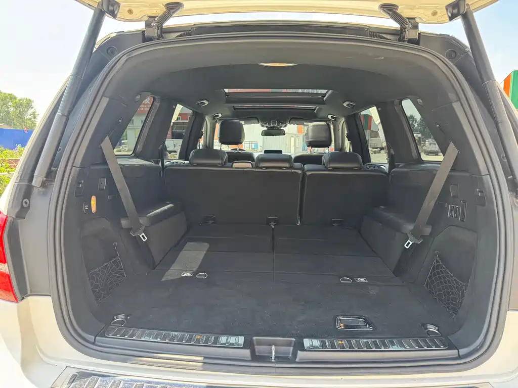 Mercedes-Benz GLS 2017 — фото 14