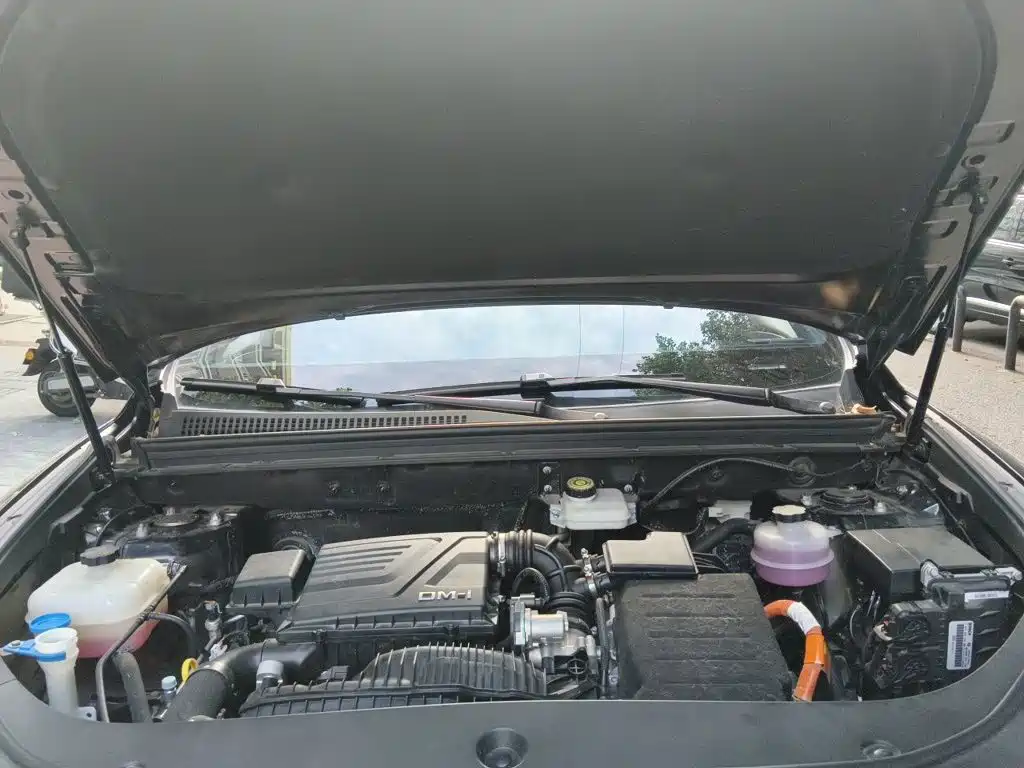 BYD Song Pro New Energy 2024 — фото 21