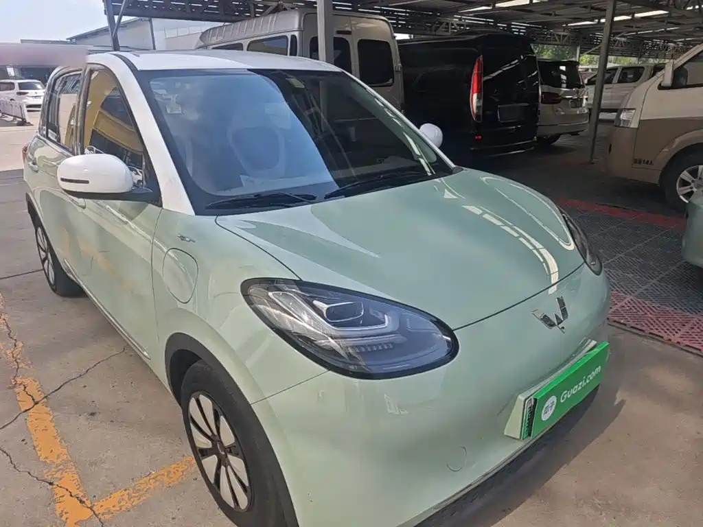 Wuling Bingo 2024