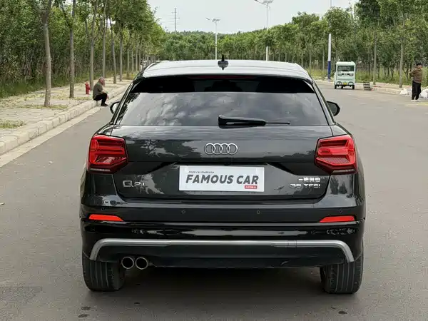 Audi Q2L 2019