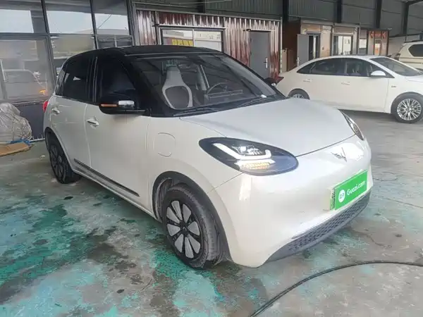 Wuling Bingo 2024