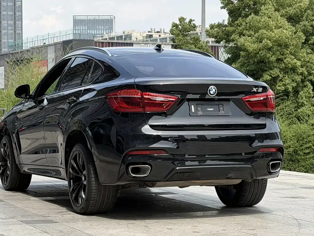 BMW X6 2018 — фото 6
