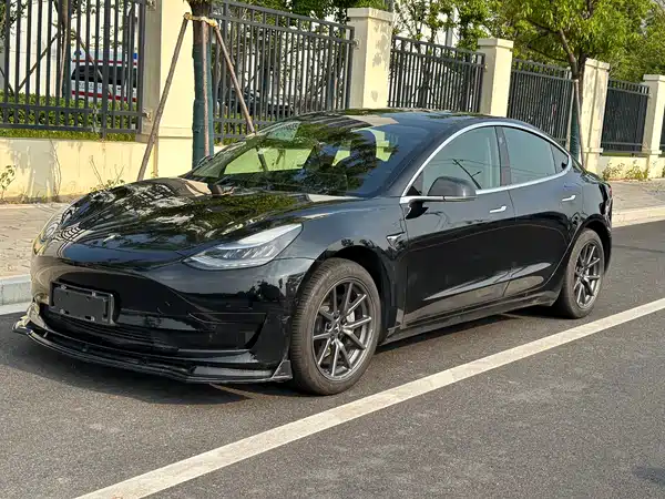 Tesla Model 3 2019
