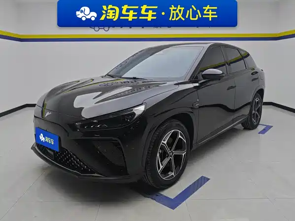 Neta L 2024