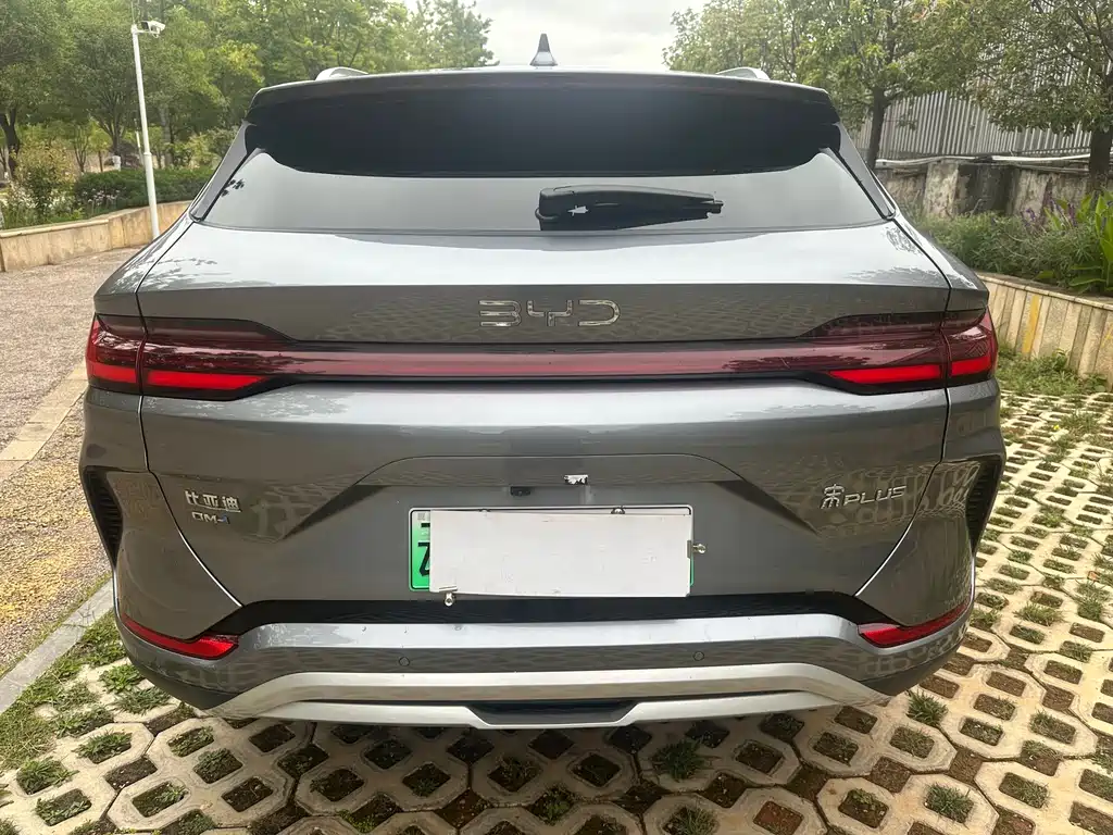 BYD PLUS New Energy 2024 — фото 8