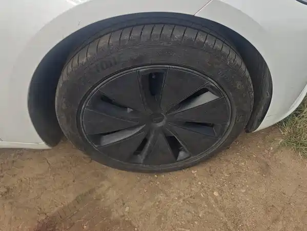 Tesla Model 3 2025