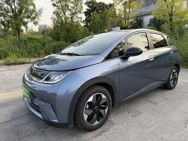 BYD Dolphin 2025