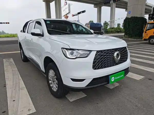 Great Wall Poer 2020