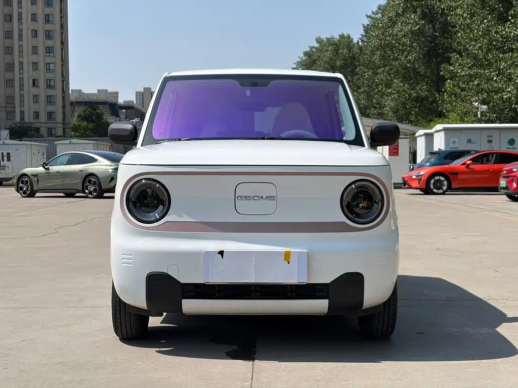 Galaxy Panda 2025