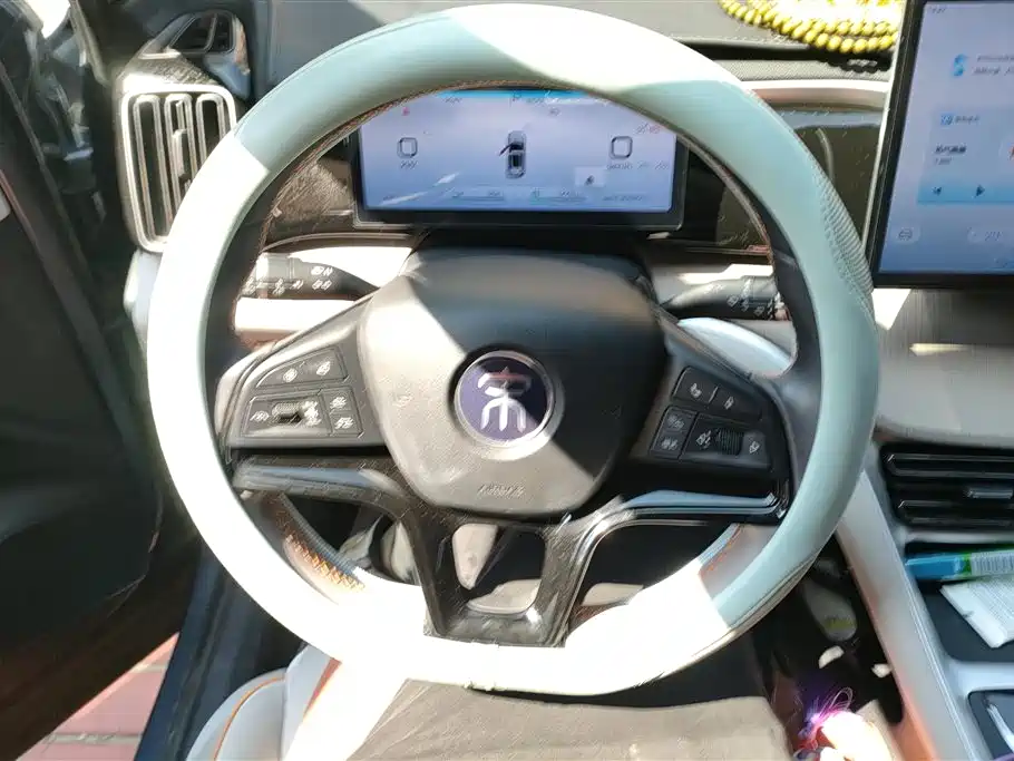 BYD Pro New Energy 2024 — фото 15