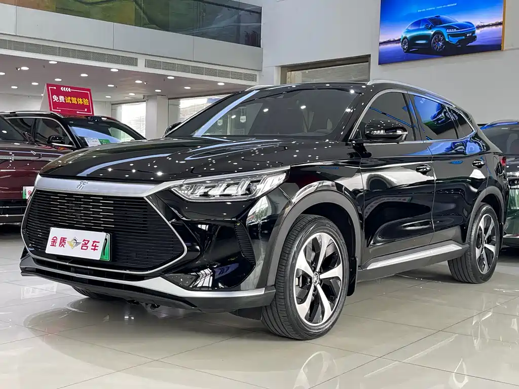 BYD PLUS New Energy 2023 — фото 1