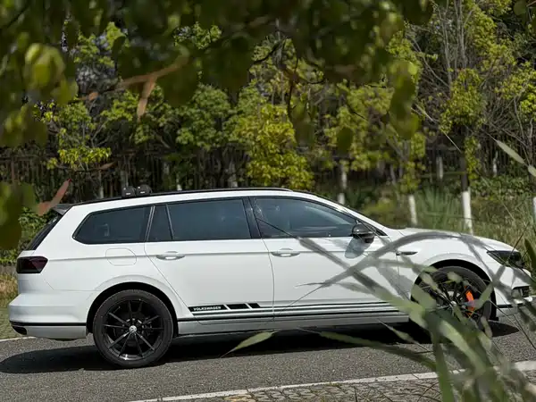 Volkswagen Viloran 2018