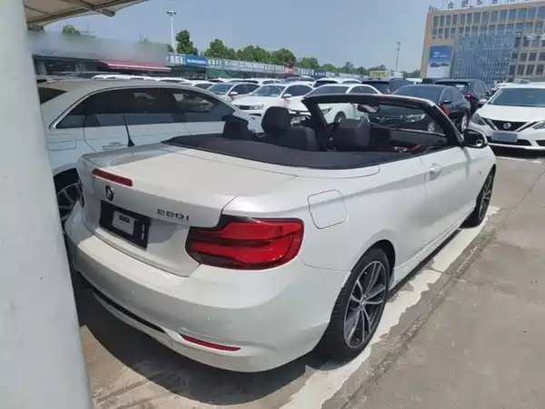 BMW 2 Series 2018