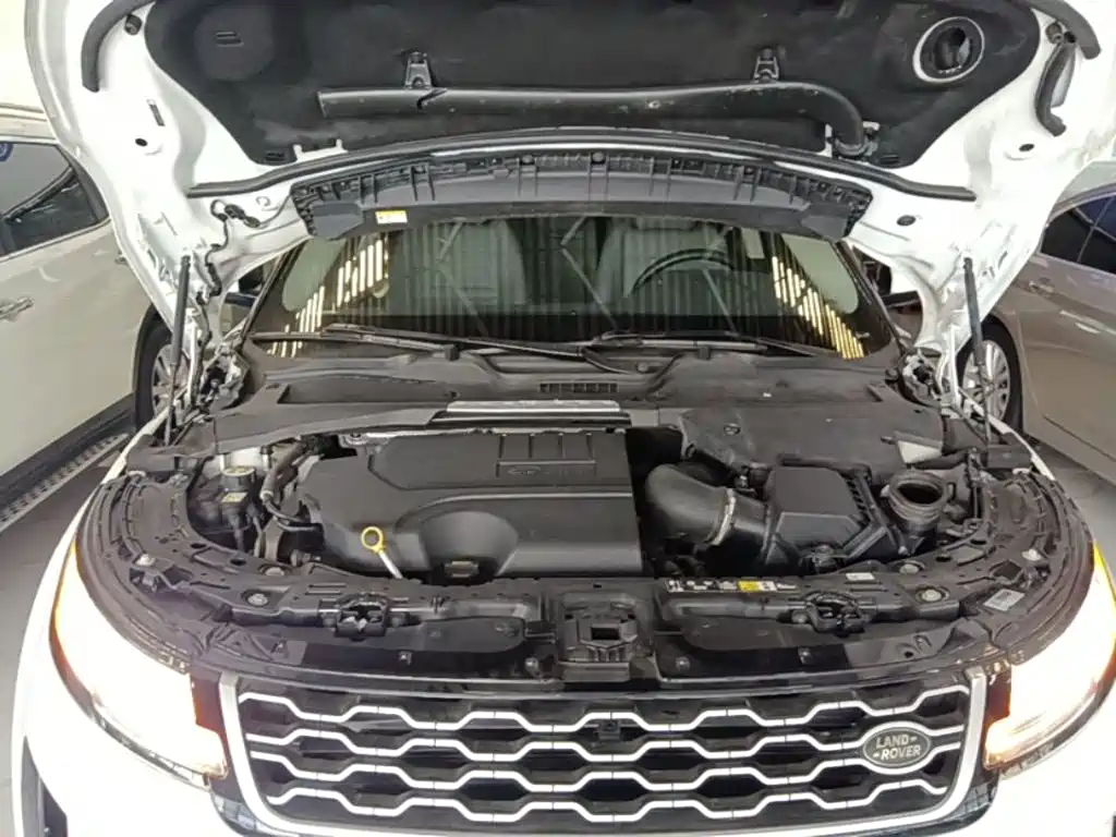 Land Rover Evoque 2020 — фото 20