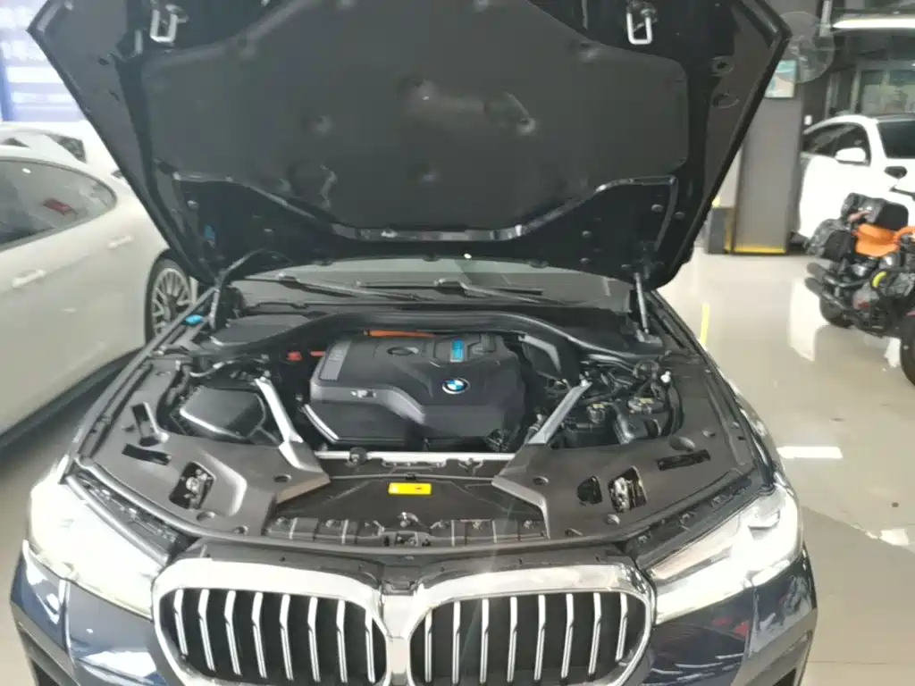 BMW 5 Series New Energy 2021 — фото 20