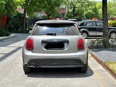 MINI MINI 2024