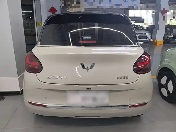 Wuling Bingo 2024