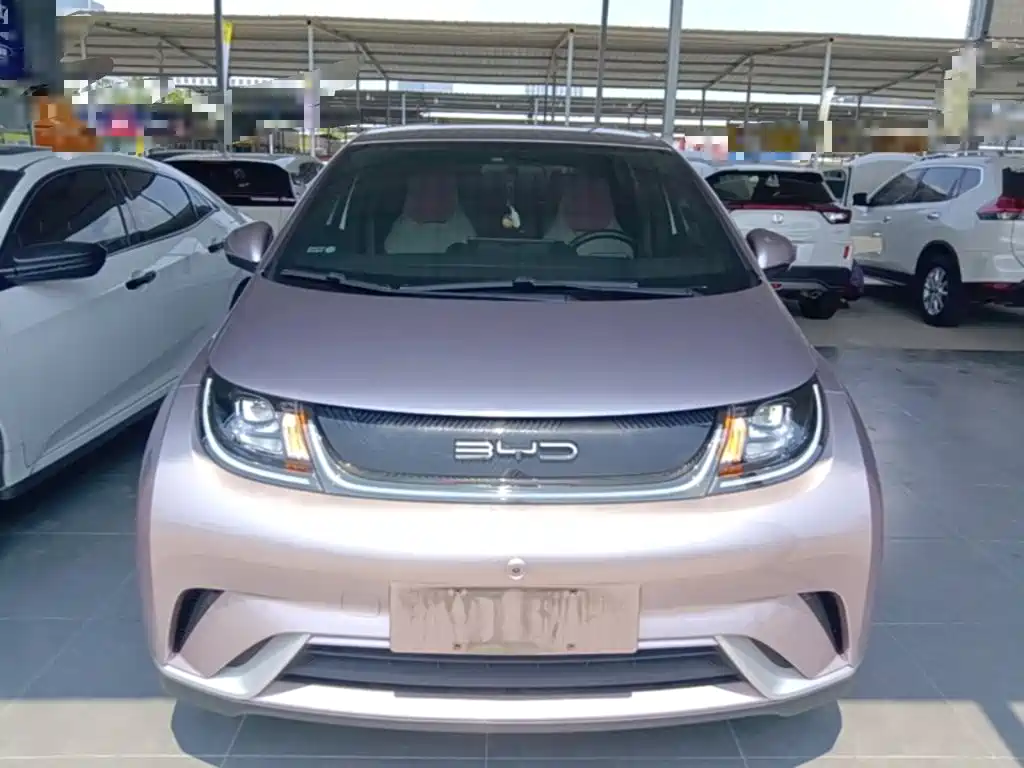 BYD Dolphin 2022