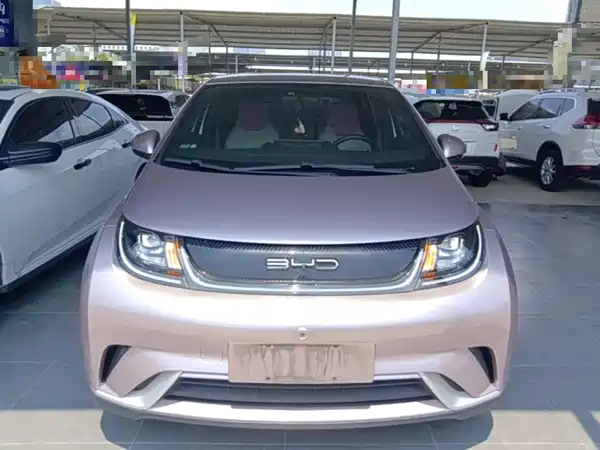 BYD Dolphin 2022