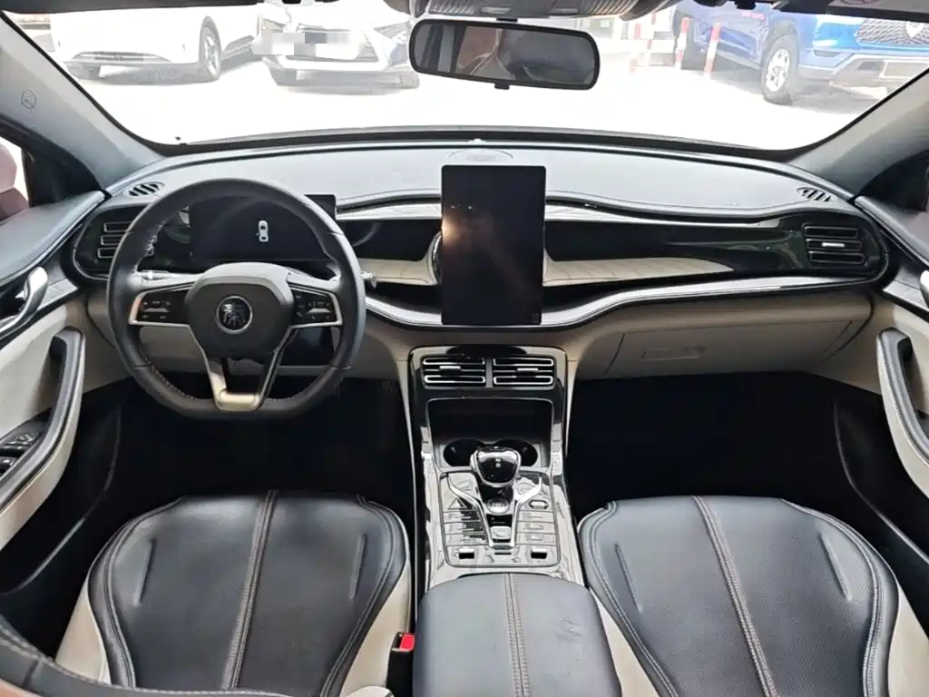 BYD Qin PLUS 2023 — фото 10