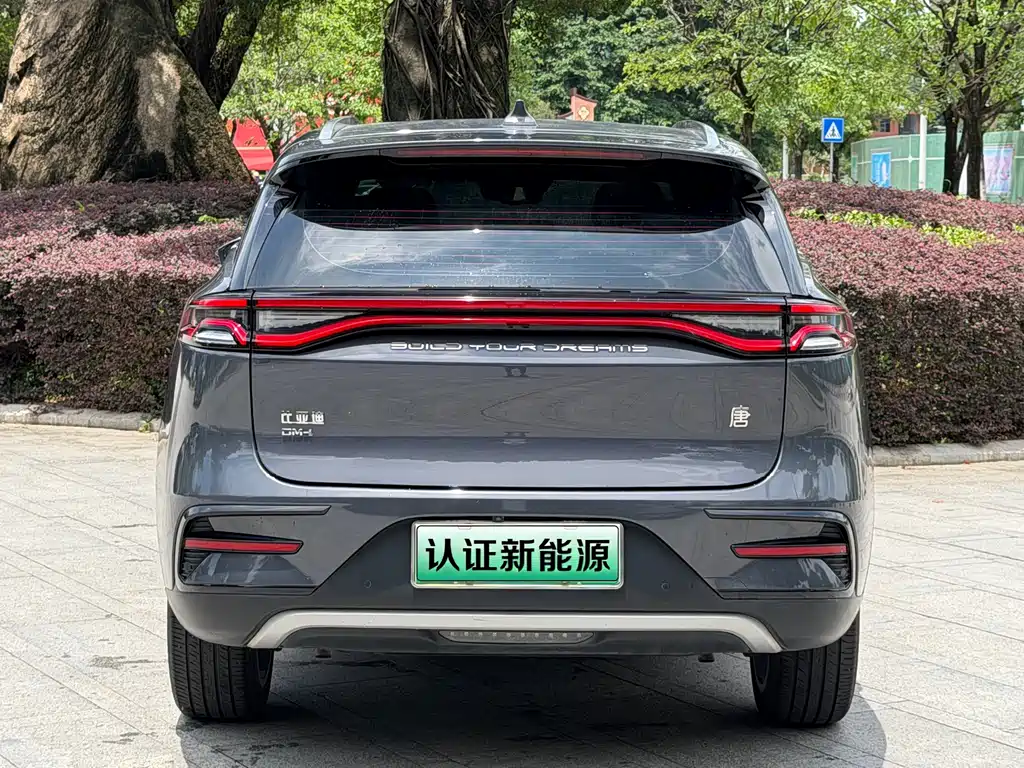 BYD Tang New Energy 2021 — фото 18