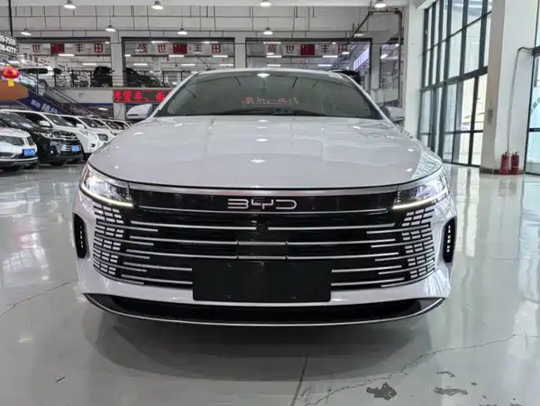 BYD Destroyer 05 2024