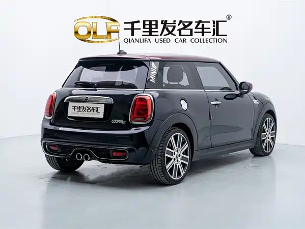 MINI MINI 2020