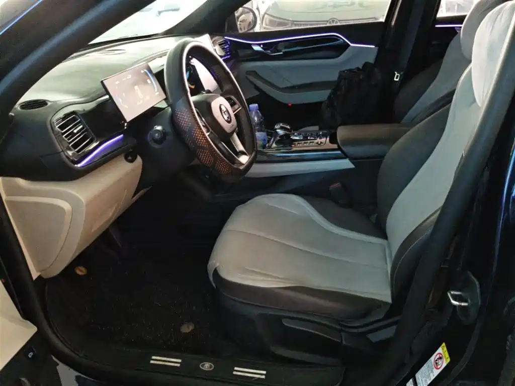 BYD Qin PLUS 2024 — фото 15