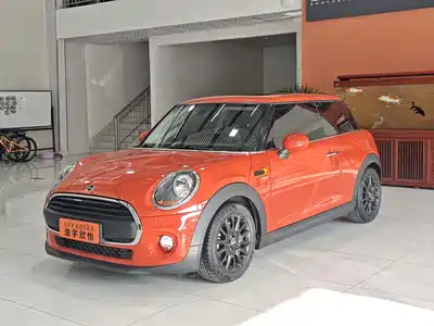 MINI MINI 2018