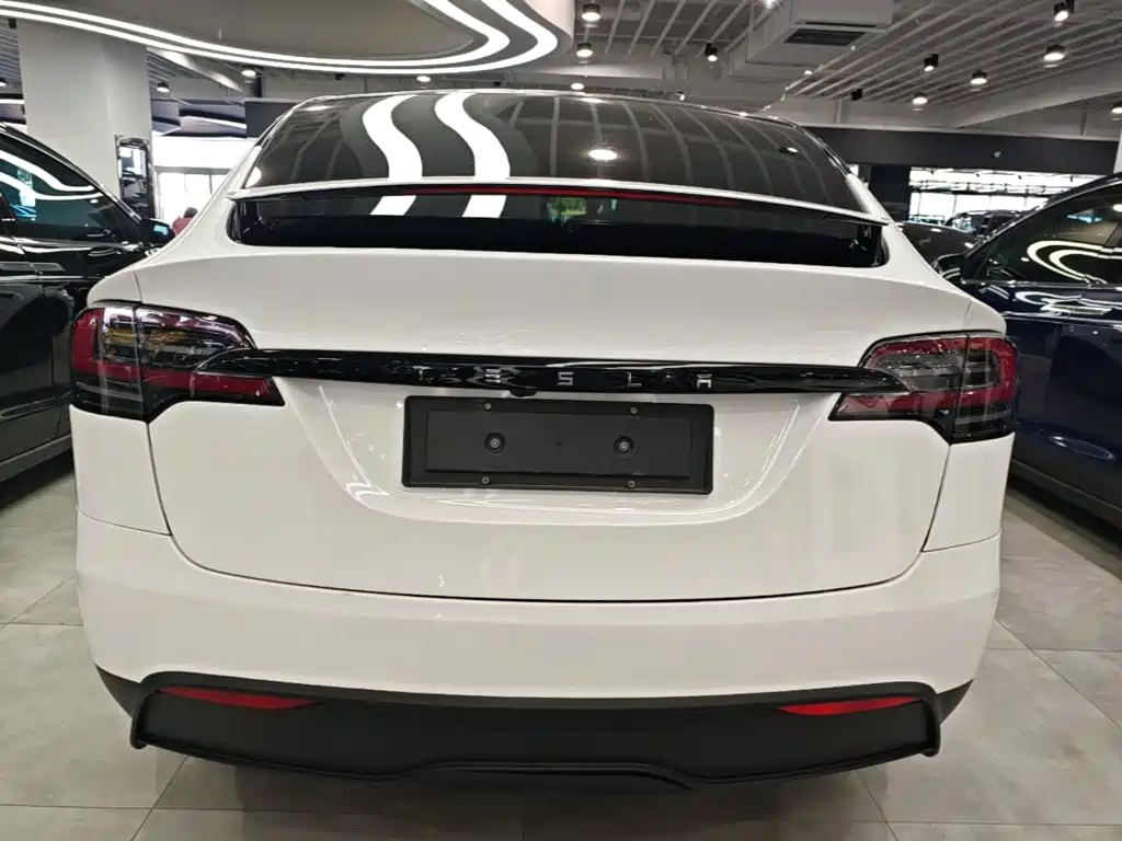 Tesla Model X 2024 — фото 4
