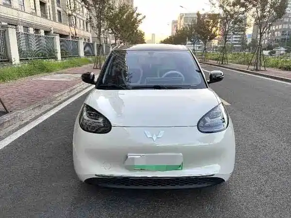 Wuling Bingo 2025