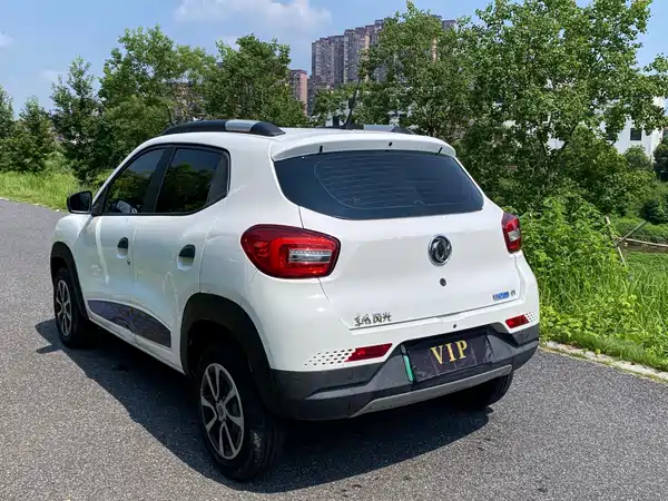 Dongfeng scenery E1 2022