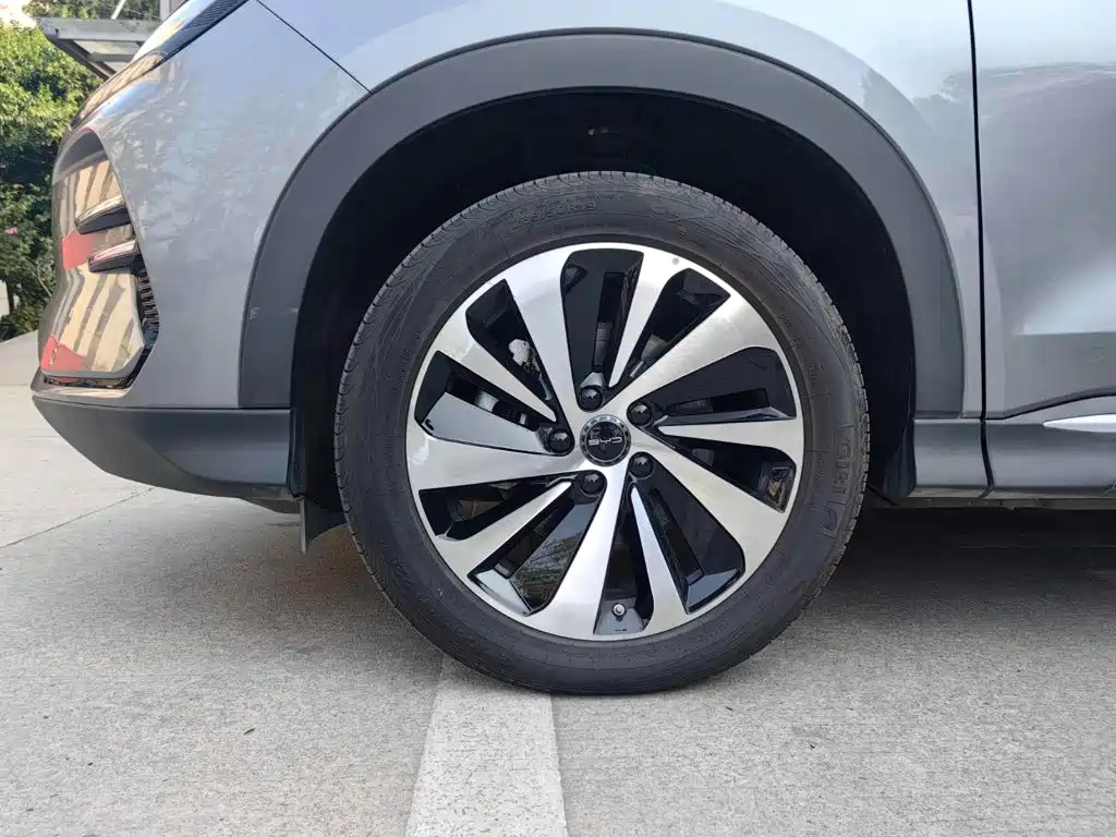 BYD Song PLUS New Energy 2024 — фото 21